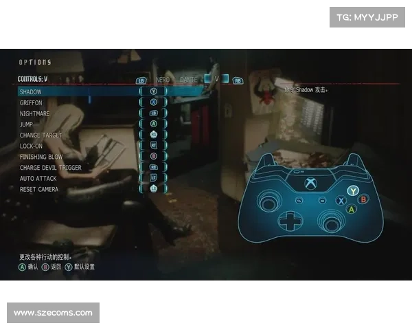 鬼泣5手柄中心设置指南